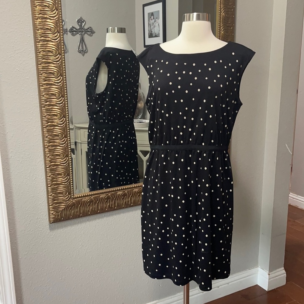 LOFT Black and White Polka Dot Dress